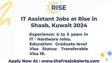 IT Assistant Jobs at Rise in Shaab, Kuwait 2024