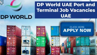 DP World UAE Port and Terminal Job Vacancies